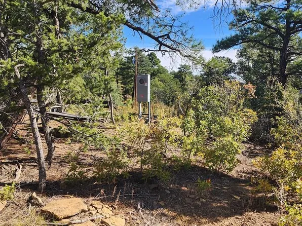 31420 Timber Canyon Rd, Trinidad, CO 81082