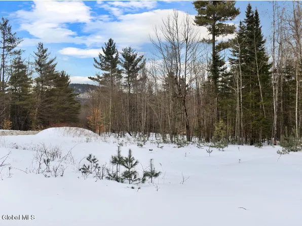 L88 Highview Lane Lot 4, Wevertown, NY 12886