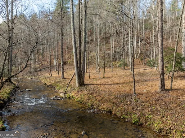 780 Banks Rd, Ellijay, GA 30540