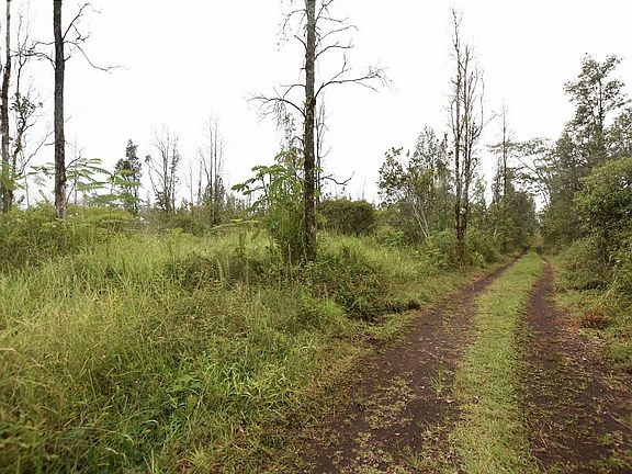 2nd image of King Kamehameha Blvd Lot 12