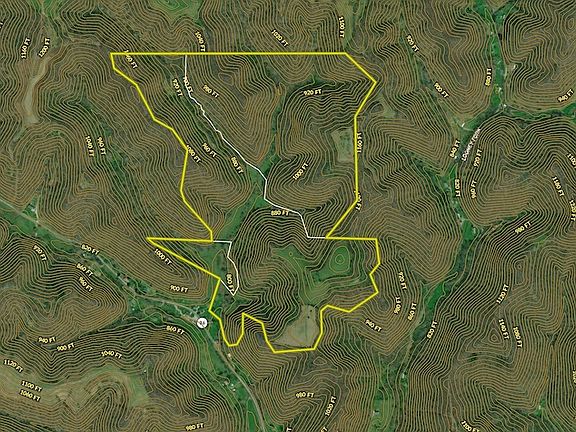 3rd image of 8829 Clay Rd