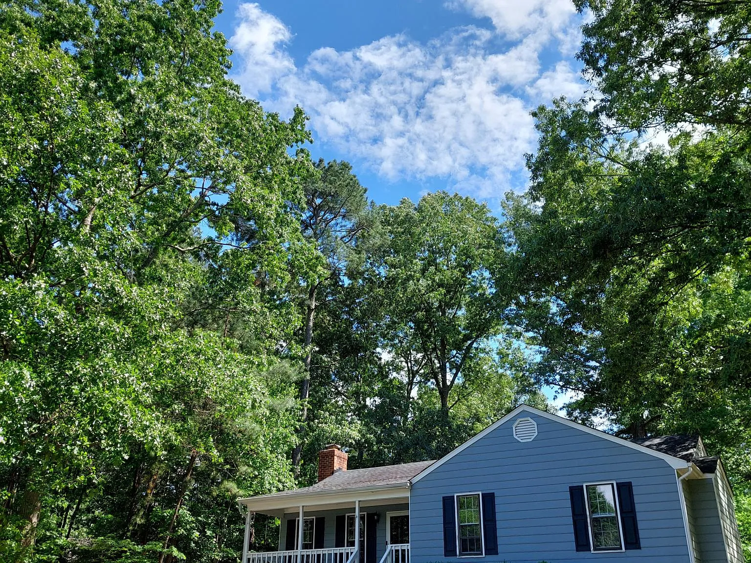 3 bed, 1226 sqft, $2,250 — Photo 2