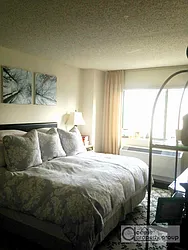 Rented by Access Property Group