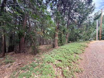 5 Debron Ct, Pollock Pines, CA, 95726