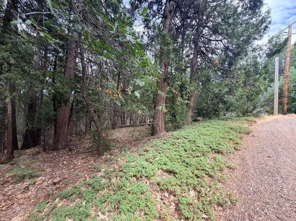 5 Debron Ct, Pollock Pines, CA 95726