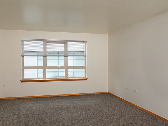 Large Windows for Natural Light with Window Coverings