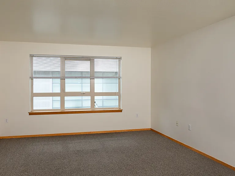 Large Windows for Natural Light with Window Coverings