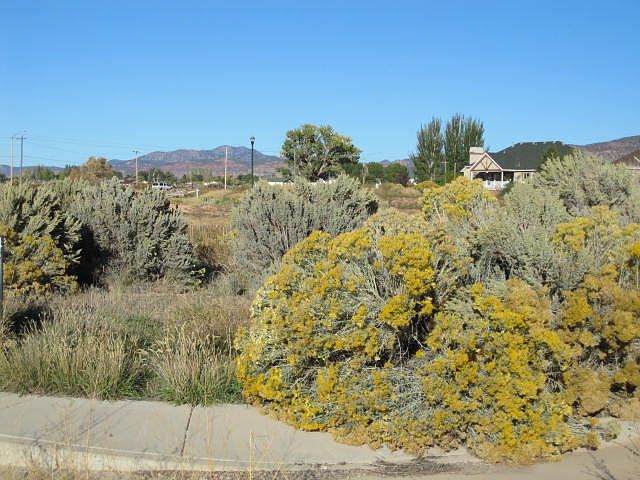 2nd image of 267 S 1125 W