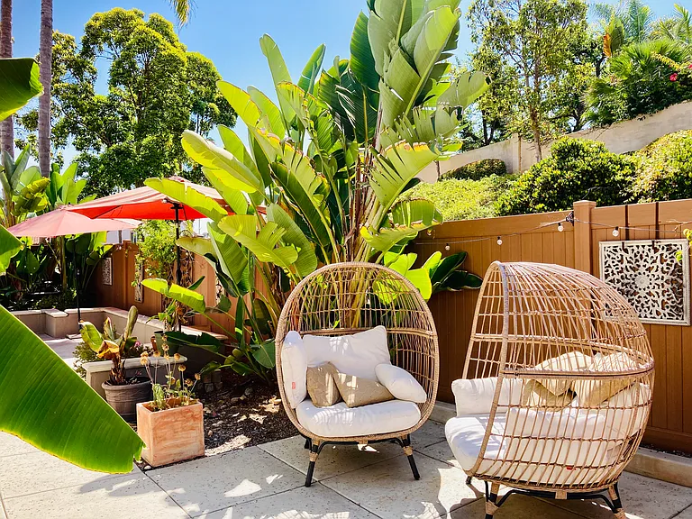 Backyard.