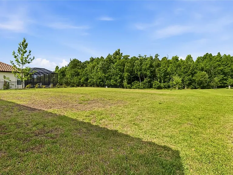 3018 Cordoba Ranch Blvd — Photo 50