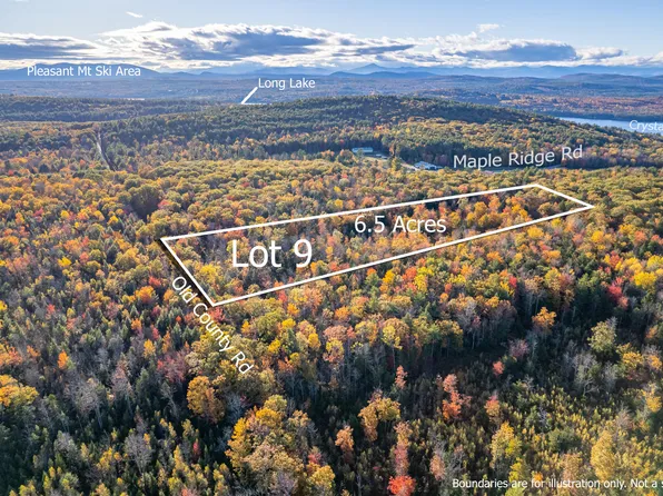 Lot 9 Maple Ridge Road, Harrison, ME 04040