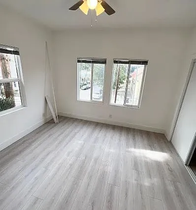 300 Patton St #1 — Photo 4