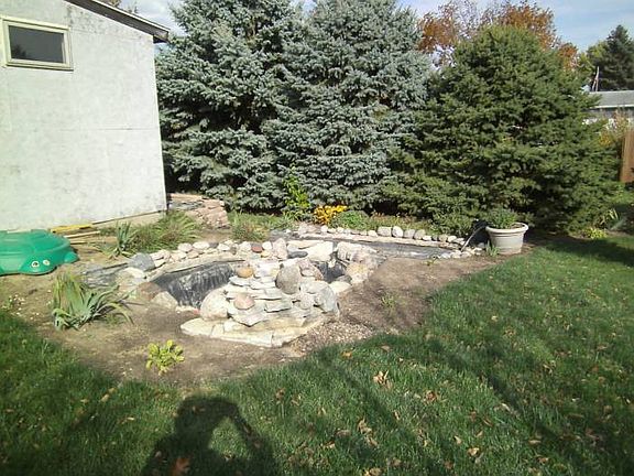Backyard/Pond