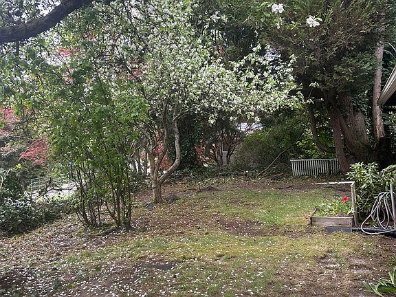 3rd image of 8824 Ravenna Ave NE