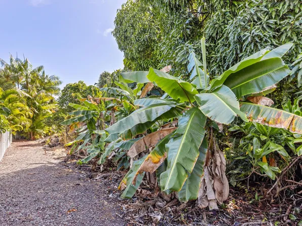 Papai St Lot 1860, Pahoa, HI 96778