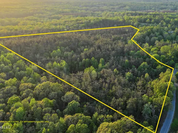 Dees Rd, Enid, MS 38927