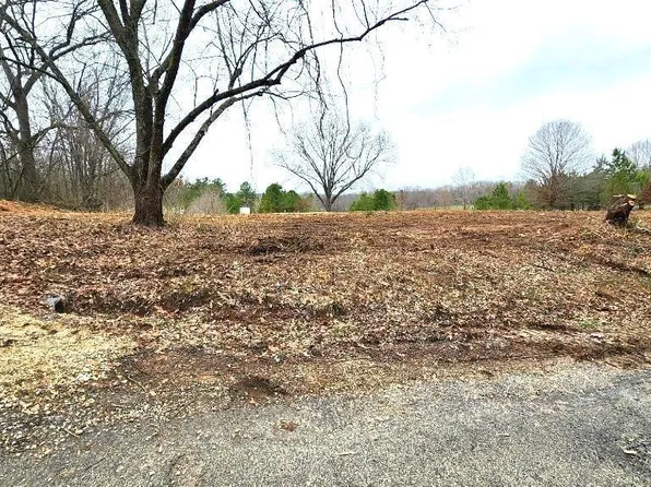 950 Pentecost Rd, Palmersville, TN 38241