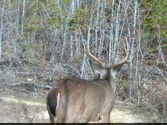 5th image of Ferguson Mill Rd