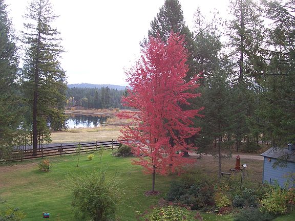 view of lake from house