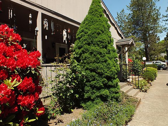 4th image of 465 Fairview Ave SE #17654009
