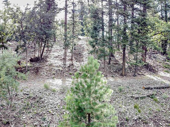 4th image of LOT 17 Woodlands Way