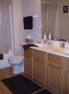 Master bathroom with wood paneled floors, double sink, HUGE walk-in closet