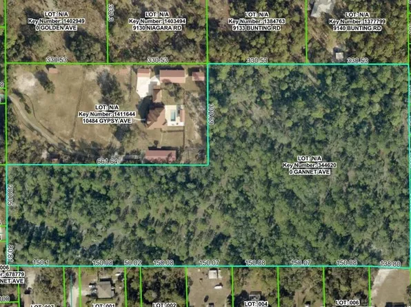 0 Gannet Ave, Brooksville, FL 34613
