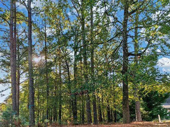 1051 Bridle Bit Ln #66, Greensboro, GA 30642