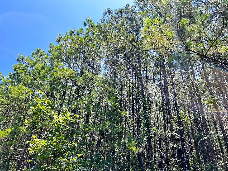 1st image of 9 Bayou Rd