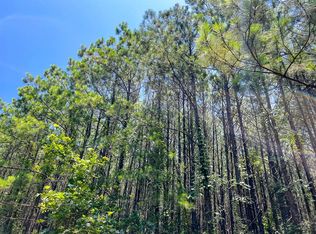 9 Bayou Rd, Hemphill, TX 75948