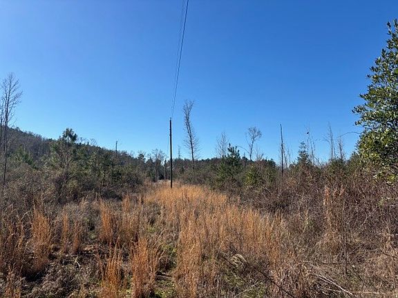 2nd image of 0 County Road 83 Cir
