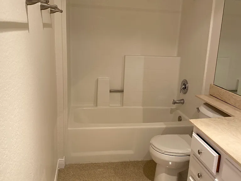 Master bath tub/shower.