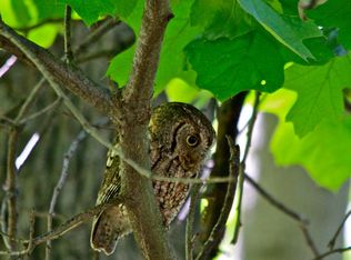 276 Doom Peak Rd, Linden, VA 22642