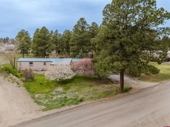 224 Fireside Street, Pagosa Springs, CO 81147