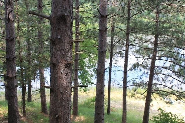 1st image of 14 Lake Point