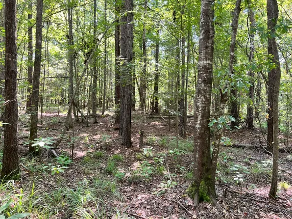 0 County Road 7, Sardis, AL 36775