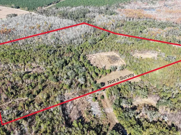 5000 NW Little Cat Rd, Madison, FL 32340