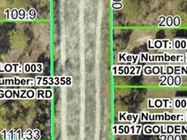 Quigley Ave, Brooksville, FL 34614