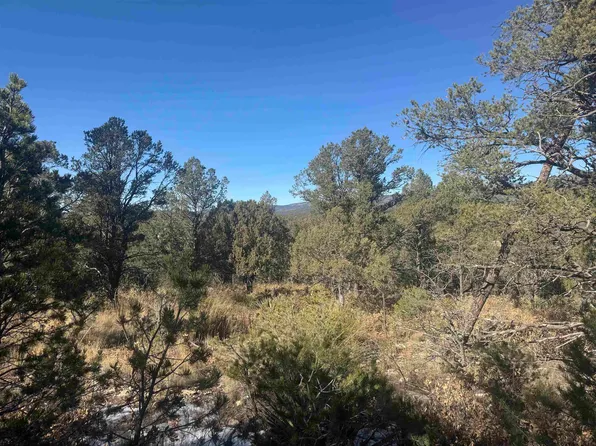 0 Chloride Ln, Timberon, NM 88350