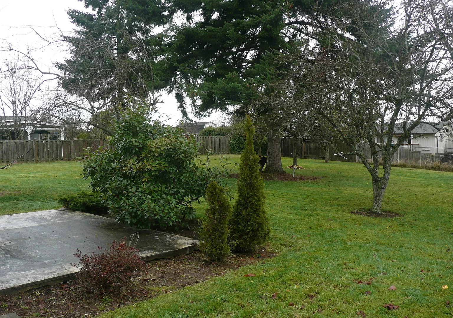 Nice 3 Bedroom Rambler in Tacoma! — Photo 2