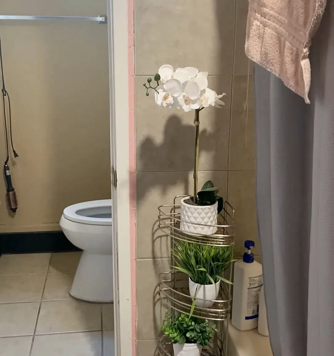 1 bed, 500 sqft, $1,800 — Photo 2