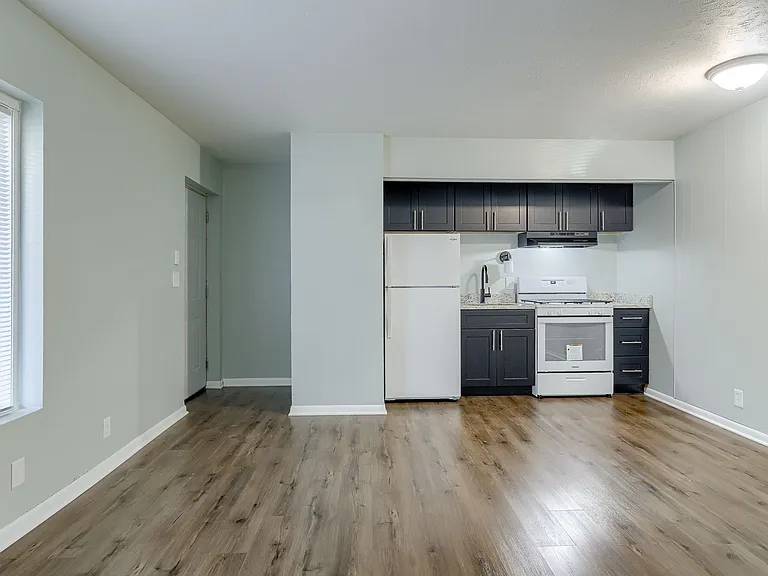 1015 N 47th Ave #4 — Photo 3