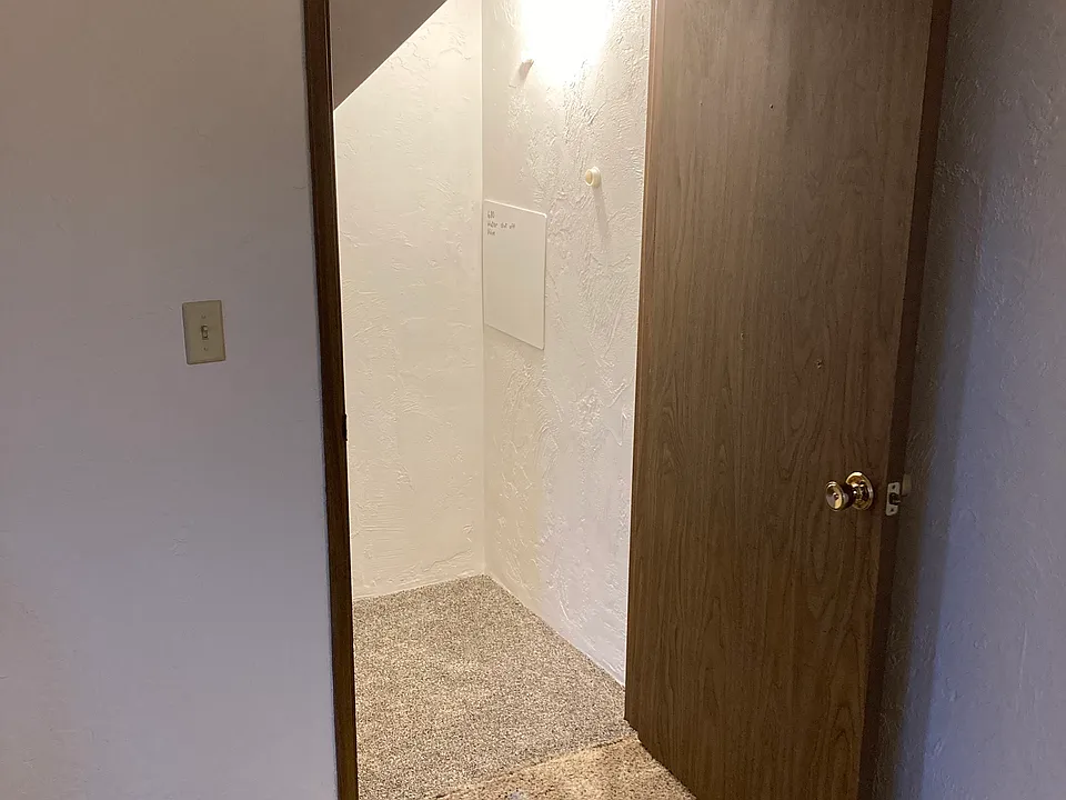 Storage closet under stairs