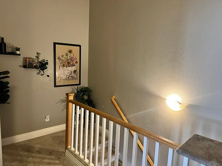 3221 Orange Orchid Pl #2 — Photo 12