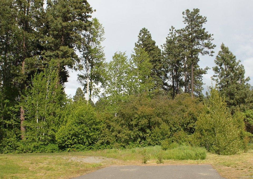 1st image of Washington Ave S