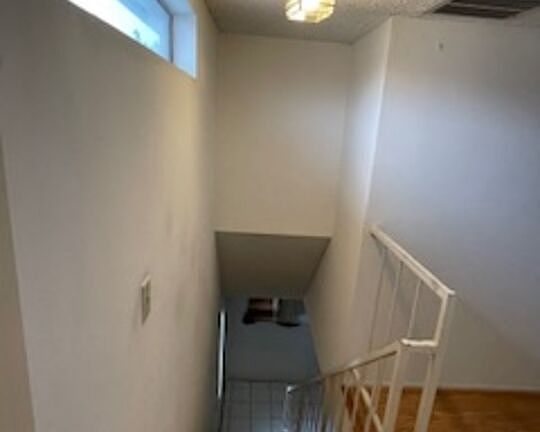 4th image of 11104 Arminta St APT 1