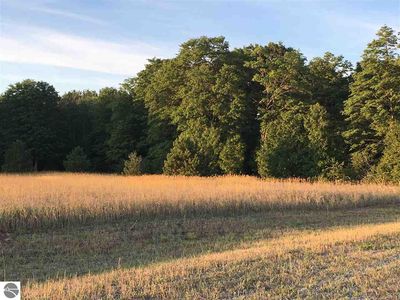 Sugar Pine Lane Private #2, Lake Ann, MI, 49650