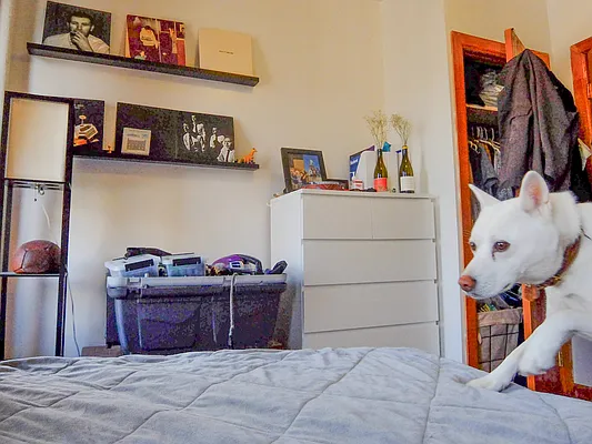 Rented by MySpaceNYC | media 17