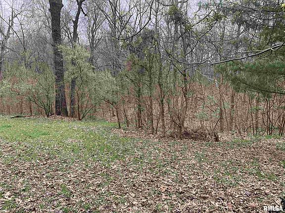 3rd image of 2846 Parker Dr