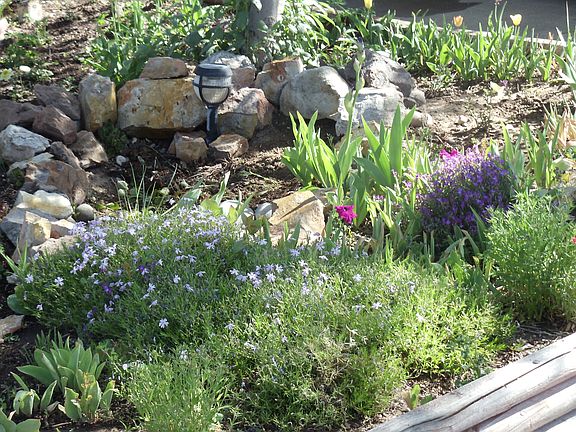 front flower bed
